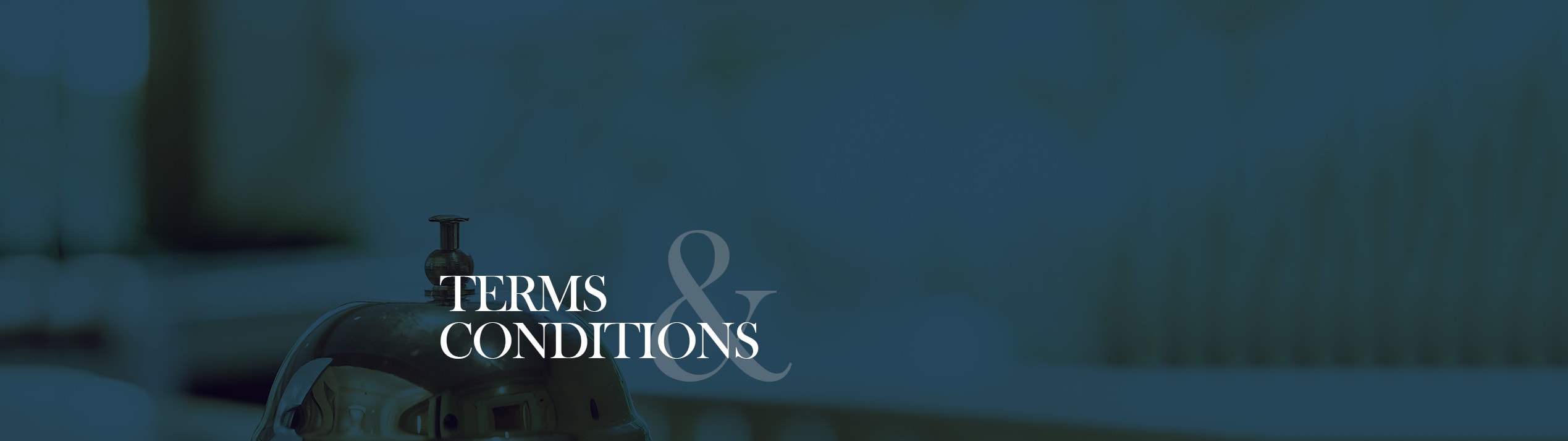 terms and condition title